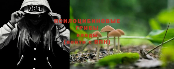 винт Инсар