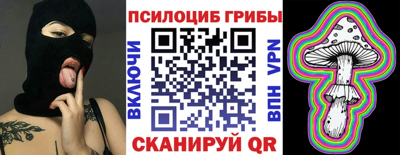 Галлюциногенные грибы GOLDEN TEACHER где купить Богородицк