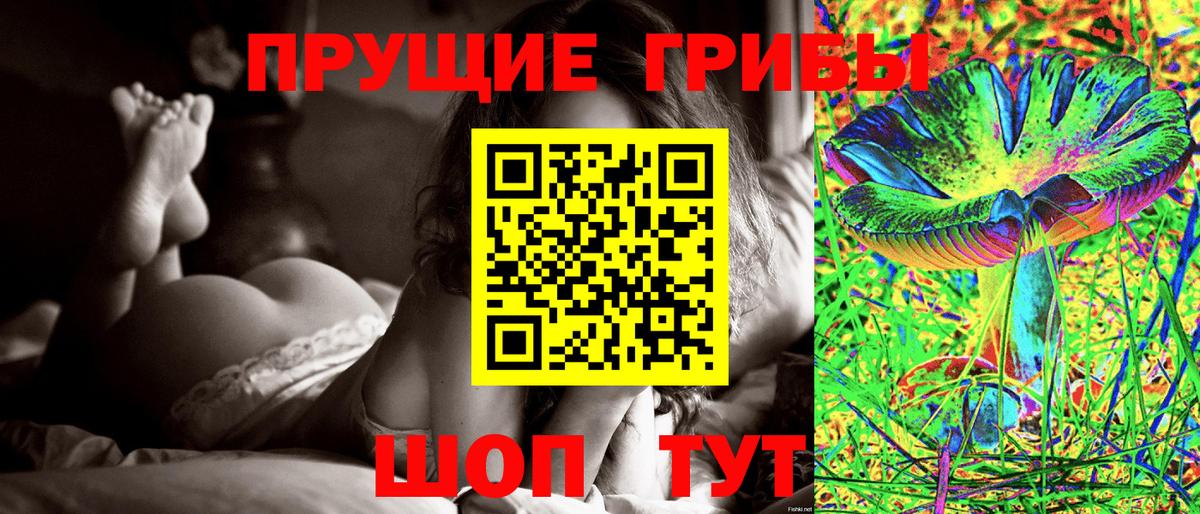 Галлюциногенные грибы прущие грибы Богородицк