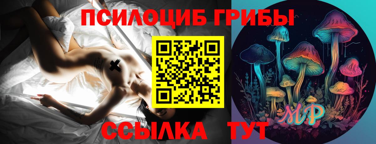Богородицк  Галлюциногенные грибы GOLDEN TEACHER  Псилоцибиновые грибы мицелий  где продают наркотики  Вход с VPN 